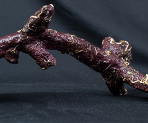 realreefrock2014-0363