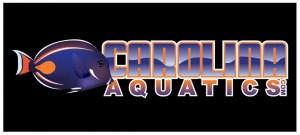 Carolina Aquatics Logo Final (2)