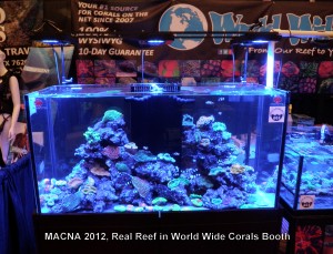 World Wide Corals
